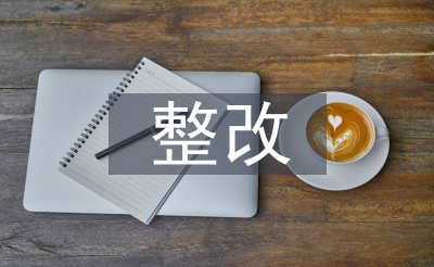监视查抄整改报告